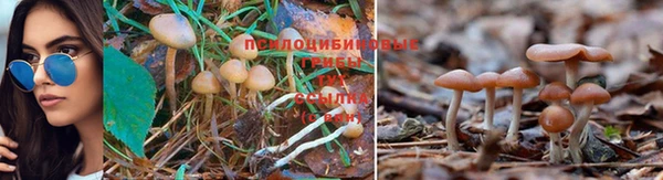 амф Навашино
