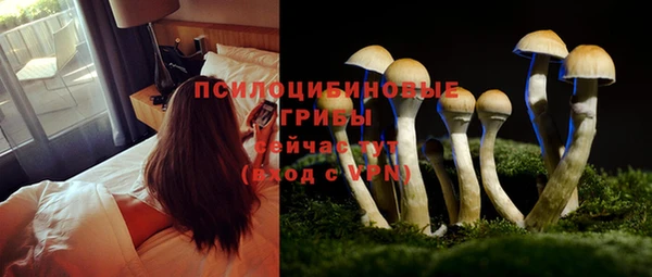крисы Наволоки