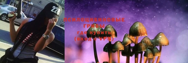 трава Надым