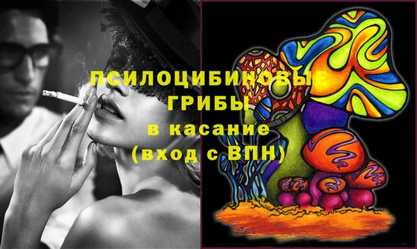 крисы Наволоки